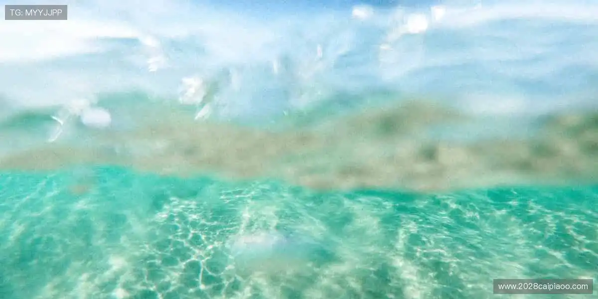 直播镜头锁定胜负悬念,你的呐喊永不迟到!📺